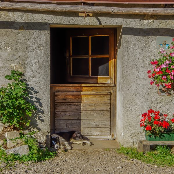 29082015Chaude 151-Alamdo