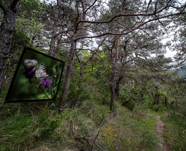 Sentier-des-Saisons-11p