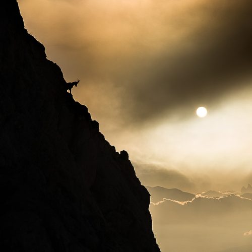 matt-sandrine- booth