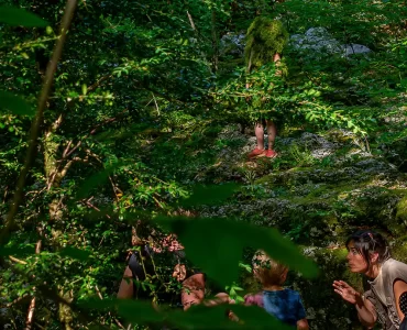 nuit des forets 1